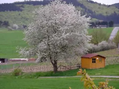 Haus Weitblick Apartment Medebach
