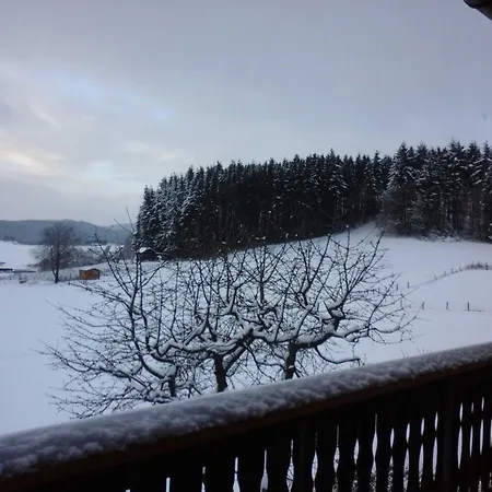 Haus Weitblick Apartment