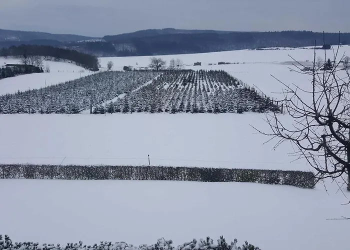 Haus Weitblick * Medebach