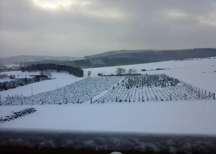 Haus Weitblick Apartment